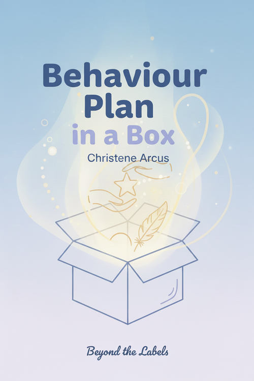 Behaviour Plan in a Box by Christene Arcus